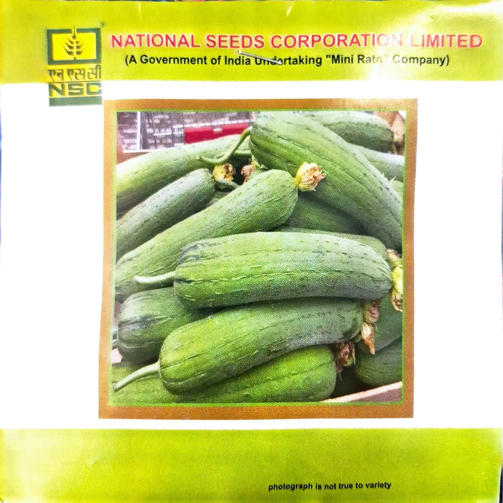 NSC Vegetable - Sponge Gourd - Kashi Shreya