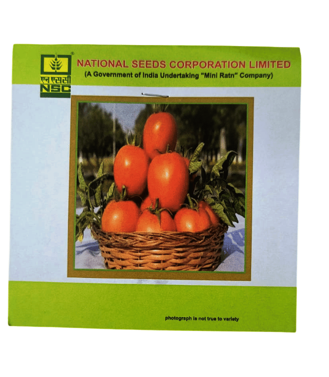 NSC Tomato Seeds- Kashi Aman- TL