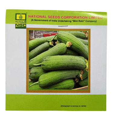 NSC Spoung gourd- Kashi Shreya-TL