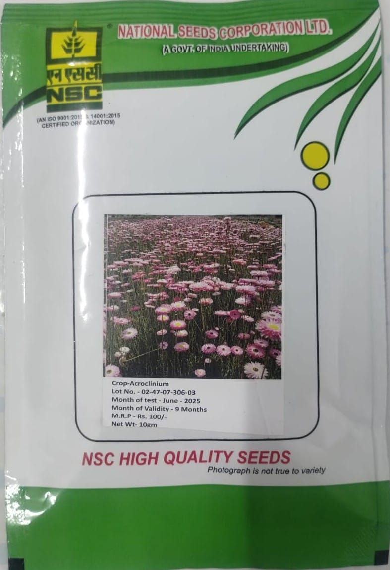 NSC Flower Acroclinium, 10g Truthful Label Seed