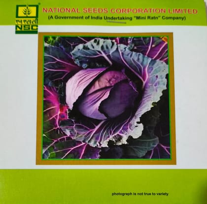 Cabbage (Pusa Red Cab. Hyb-I) Seeds - NATIONAL SEEDS CORPORATION LIMITED