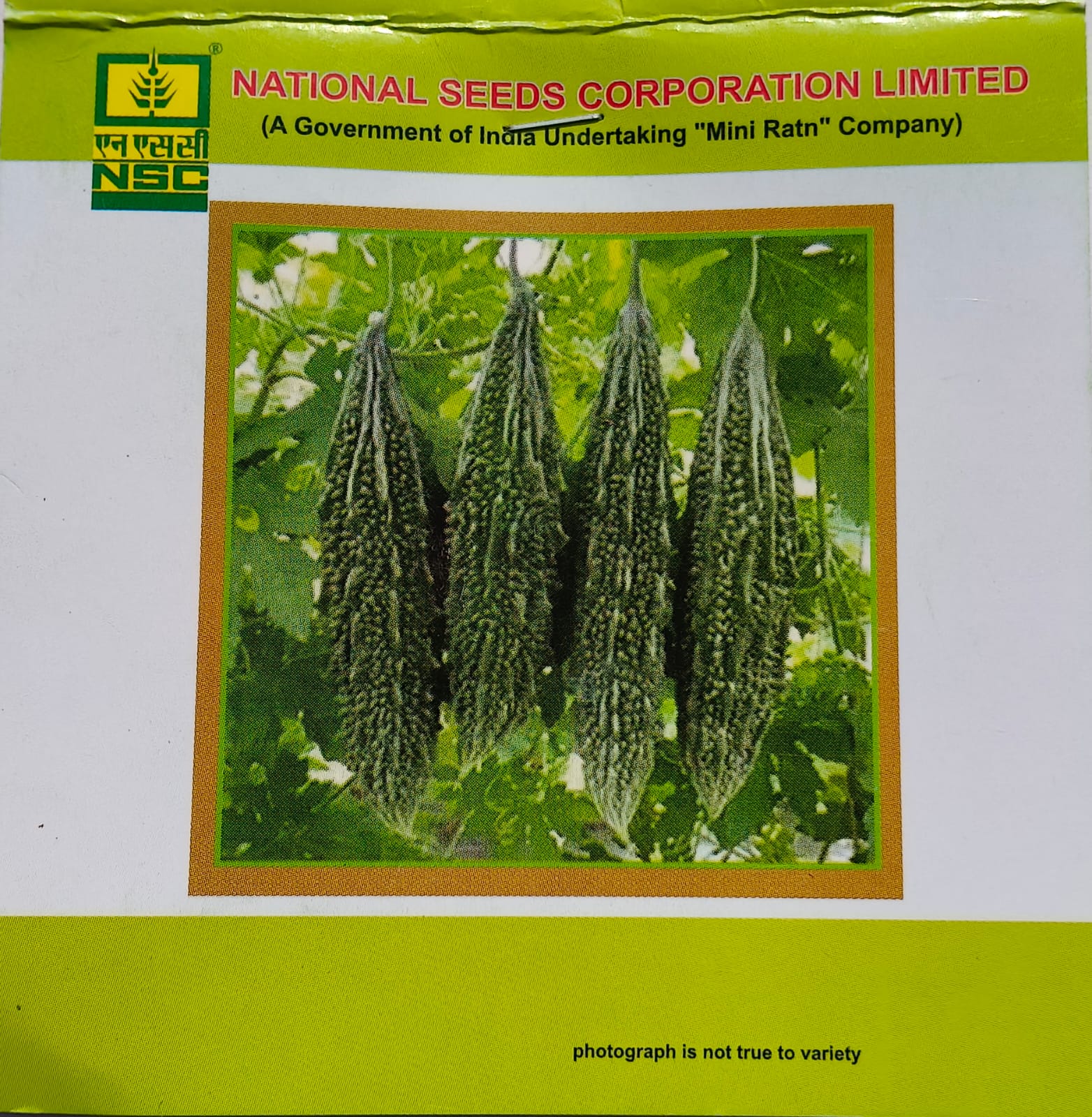 Bittergourd Variety - Kashi Pratishtha, 5gm Packet, Valid till June 2026