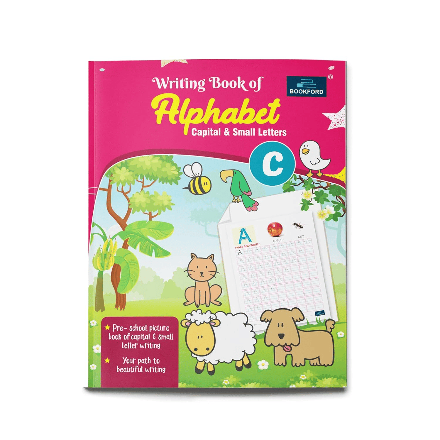 Writing Book Of Alphabet Capital & Small Letter For Kids - Part C 