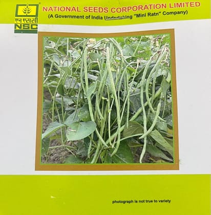 NSC Cowpea – Kashi Nidhi (TL)