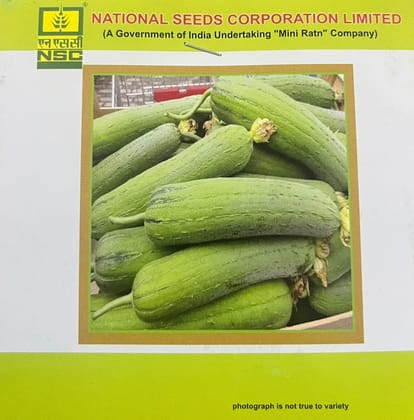 NSC Sponge Gourd Variety – Kashi Shreya