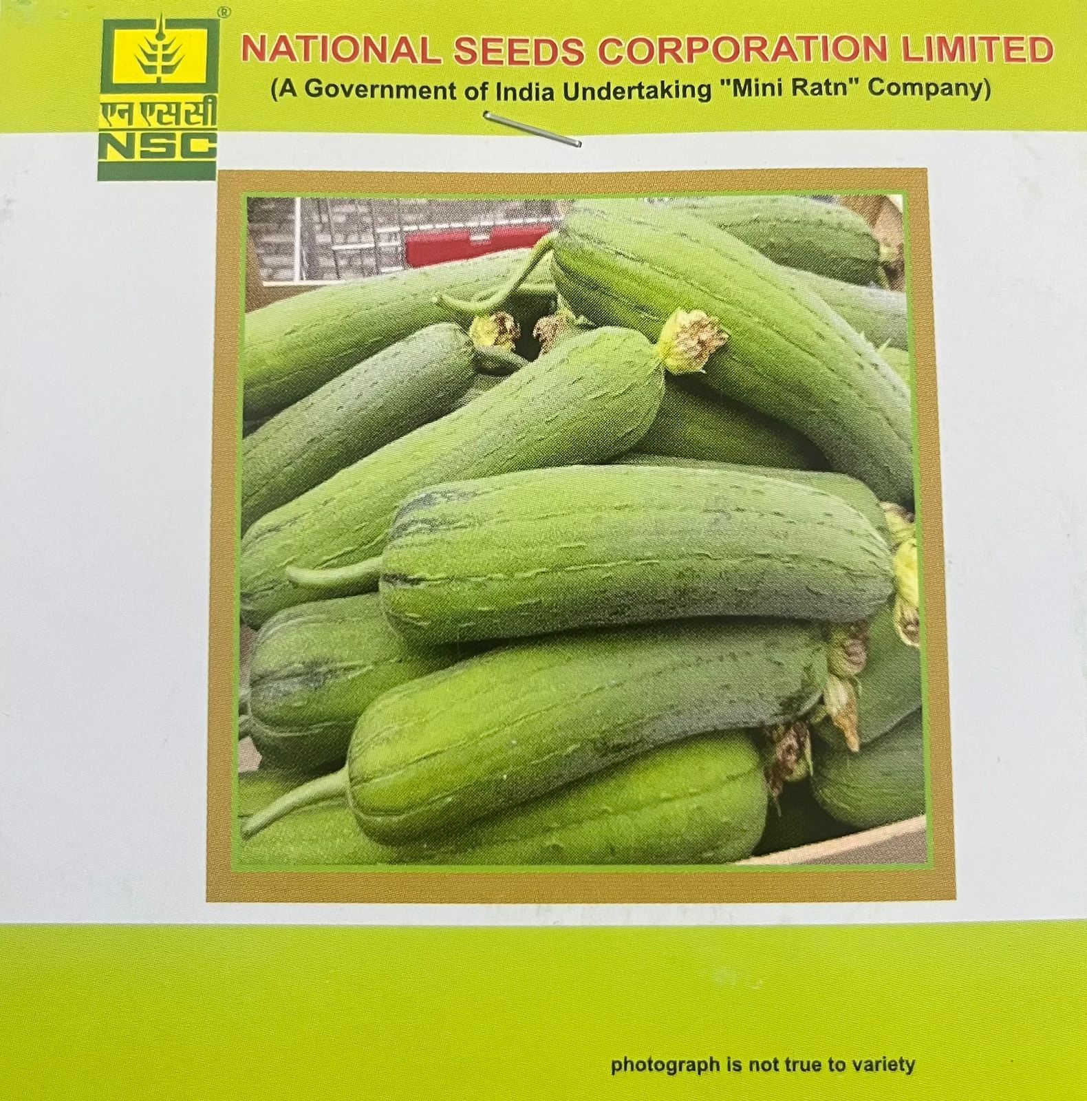 NSC Sponge Gourd Variety – Kashi Shreya