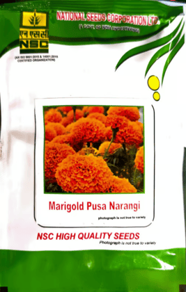 NSC Marigold Pusa Narangi- 10 gram pack