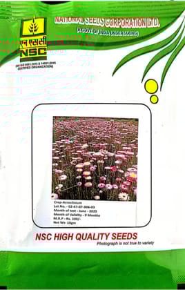 NSC – Acroclinium (10 Gms Seeds)