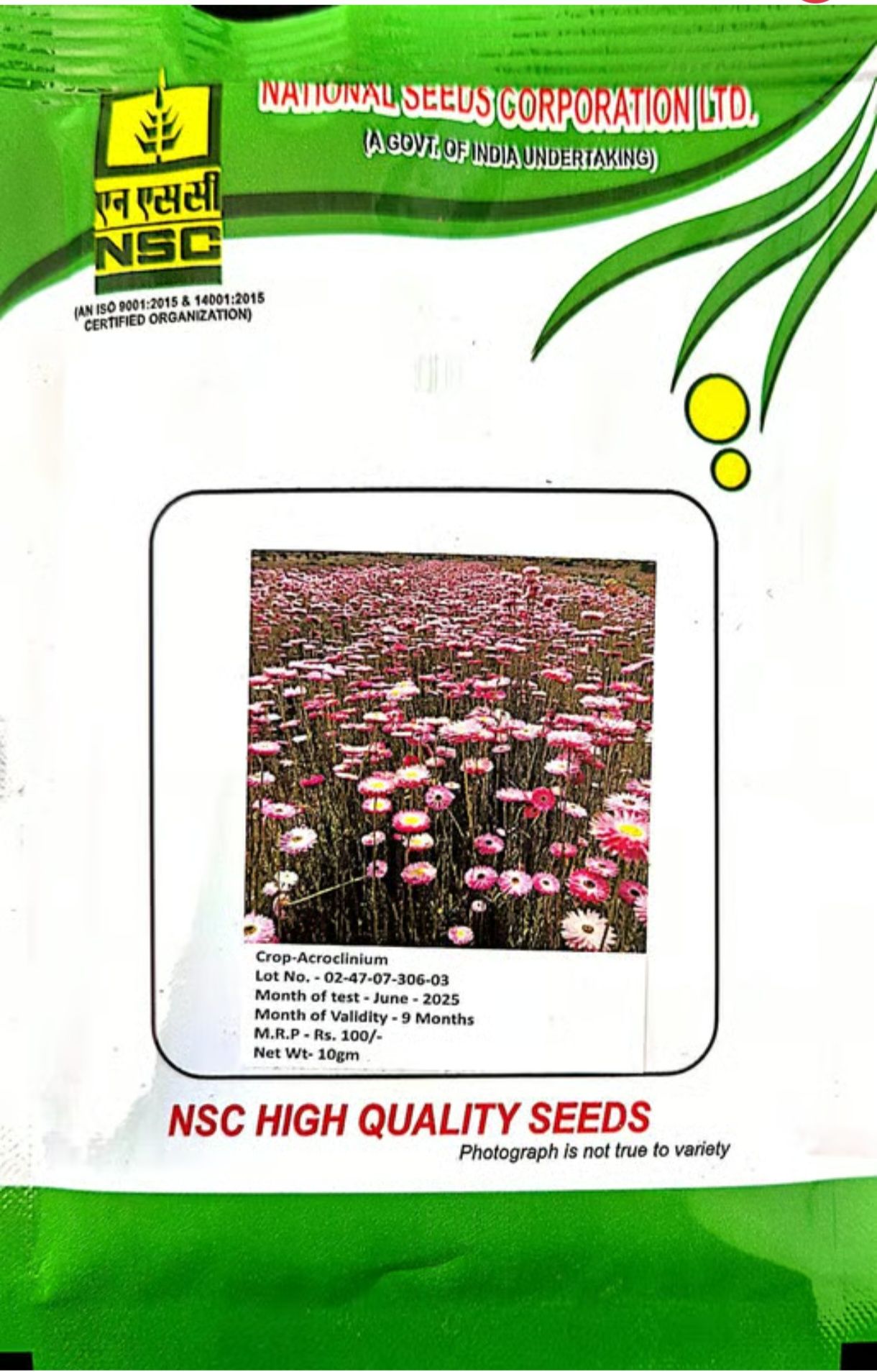 NSC – Acroclinium (10 Gms Seeds)