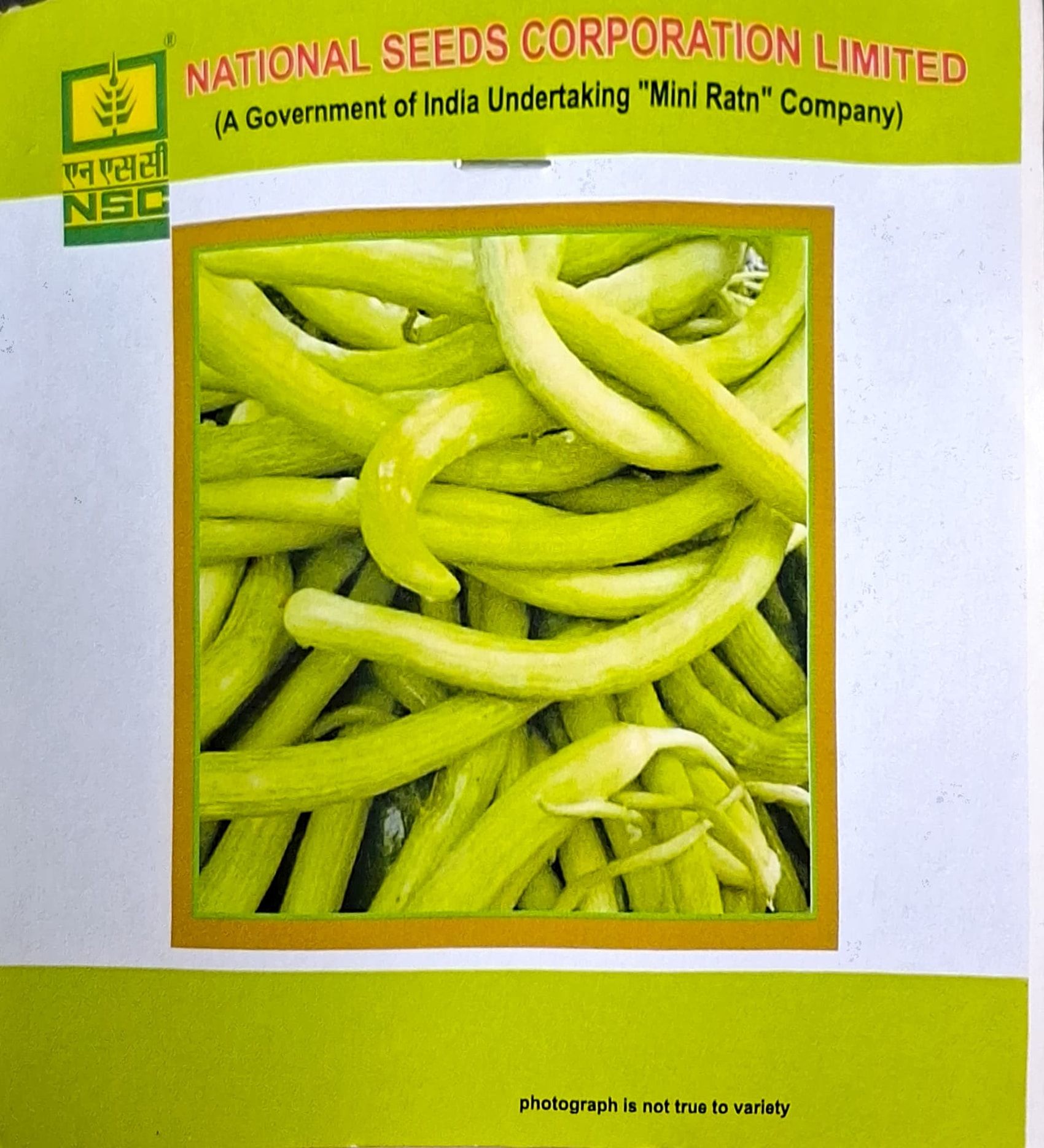 NSC Vegetable Seeds- Long Melon gourd - Santusti- TL seeds