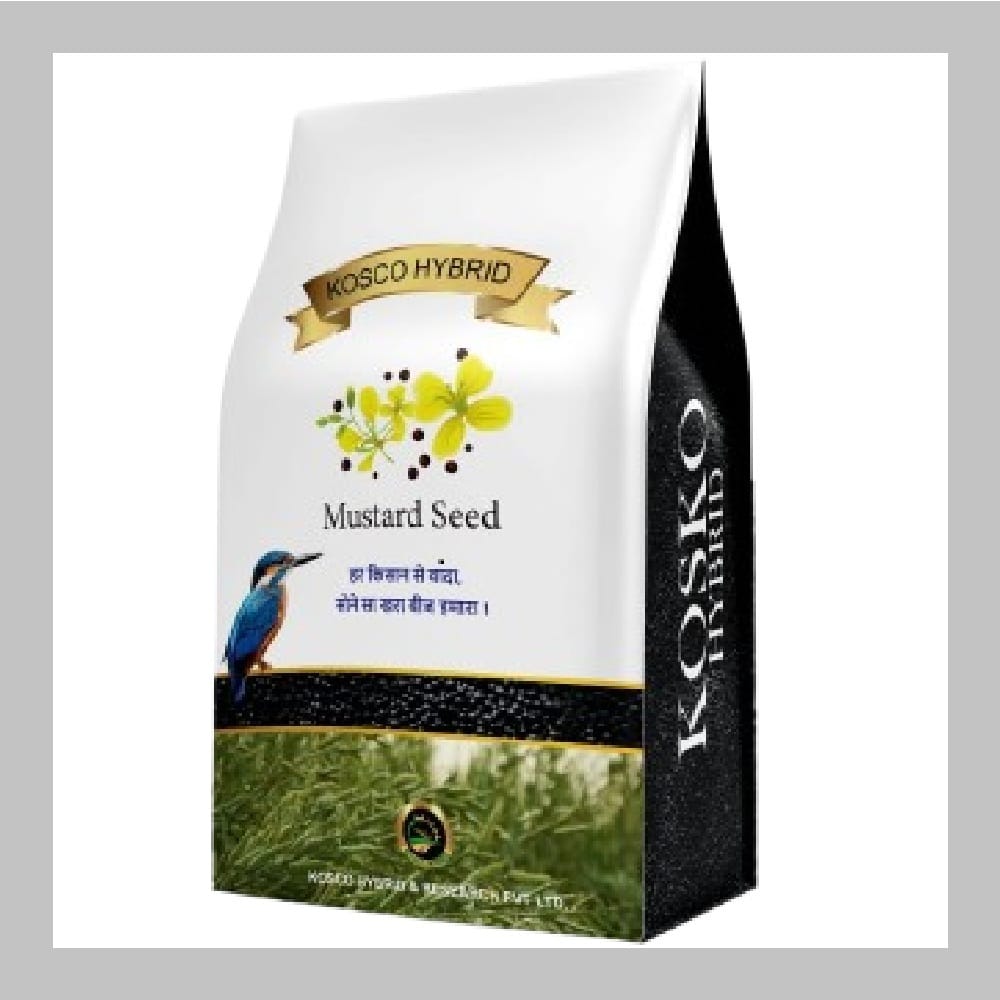 PM 32 Mustard Seed – High Yield Variety | Kosco Hybrid