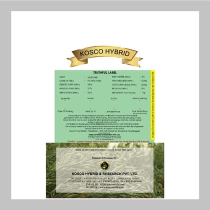 PM 32 Mustard Seed – High Yield Variety | Kosco Hybrid