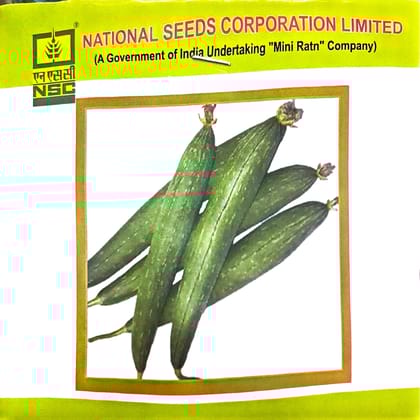 NSC Vegetable Seeds- Sponge Gourd - Kashi jyoti