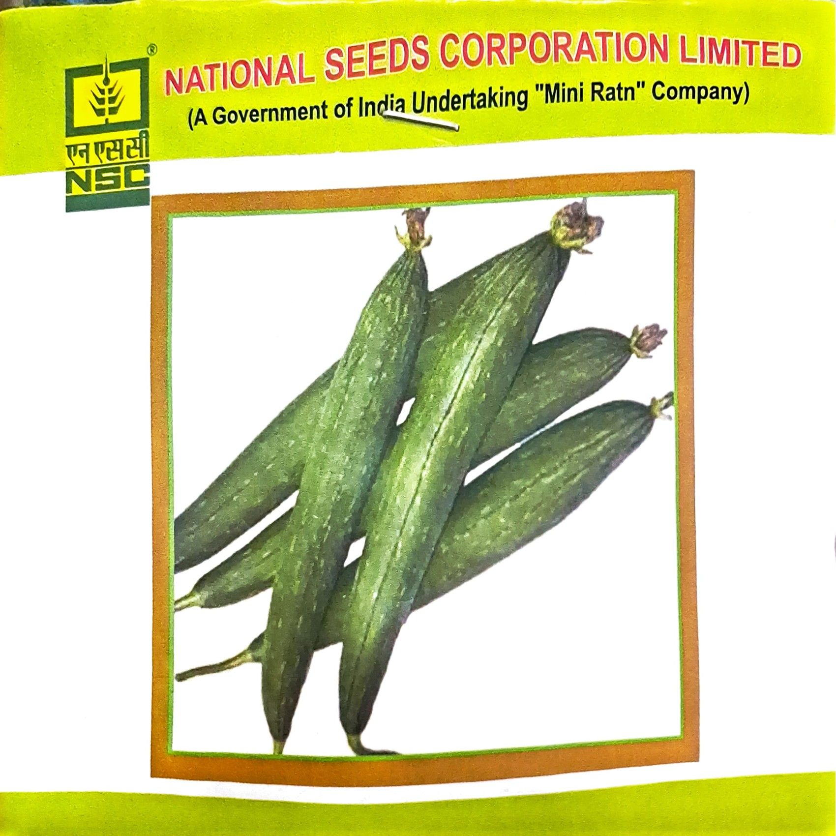 NSC Vegetable Seeds- Sponge Gourd - Kashi jyoti