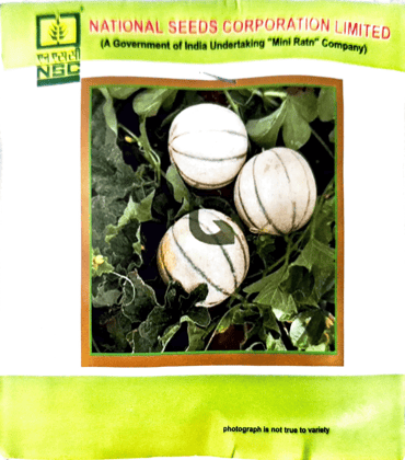 NSC Muskmelon Seeds – Kashi Madhu (TL Seed)Pack Size