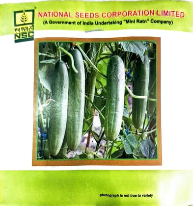 NSC Seeds – Cucumber (Kashi Nutan Variety)