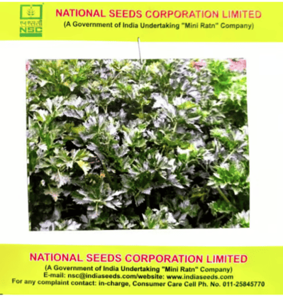 NSC Celery Seeds – Ford Hook Emperor (5 gms)