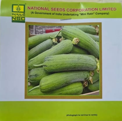 NSC Sponge gourd Kashi Shreya,5 gm