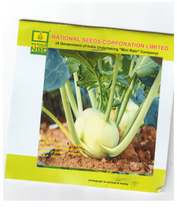 NSC – Knol-White Vieena (5 Gms Seeds)