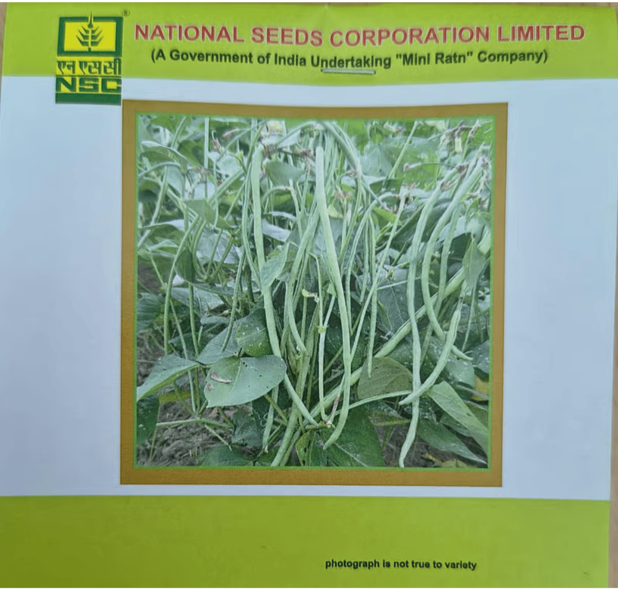 NSC Cowpea, Variety‑Kashi Nidhi, 20 gm