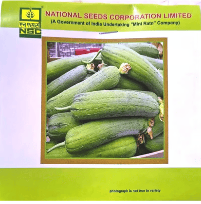 NSC Sponge Gourd, Kashi Shreya