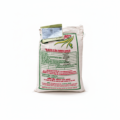 NSC Blackgram (Urad) LBG-884 Seeds