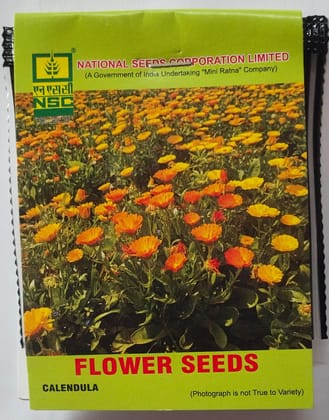 NSC Calendula Flower Seed, 5 gram T/L