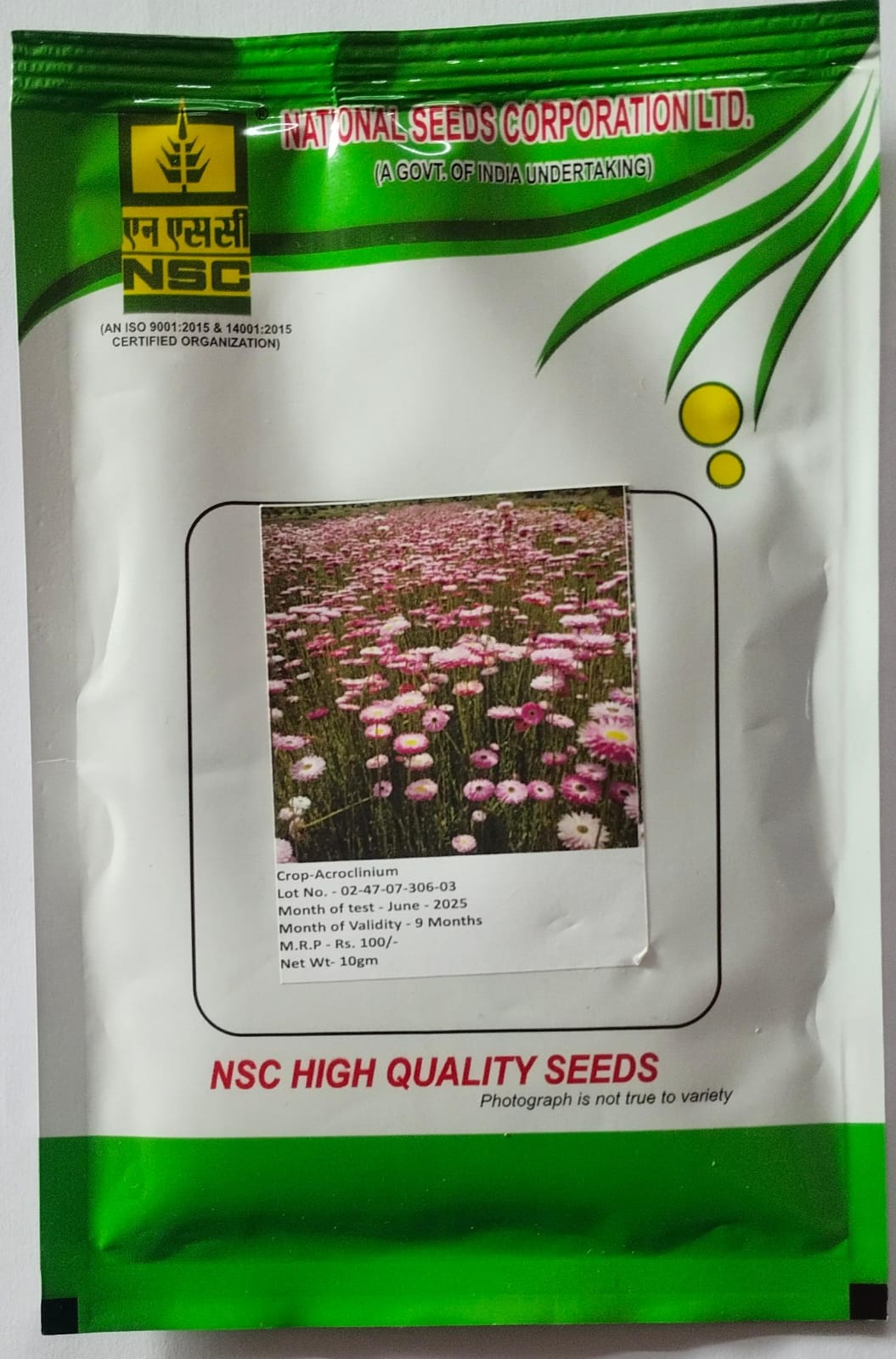 NSC Acroclinium Flower Seed, 10 gram T/L