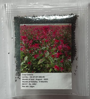 NSC Celocia Flower Seed, 10 gram T/L