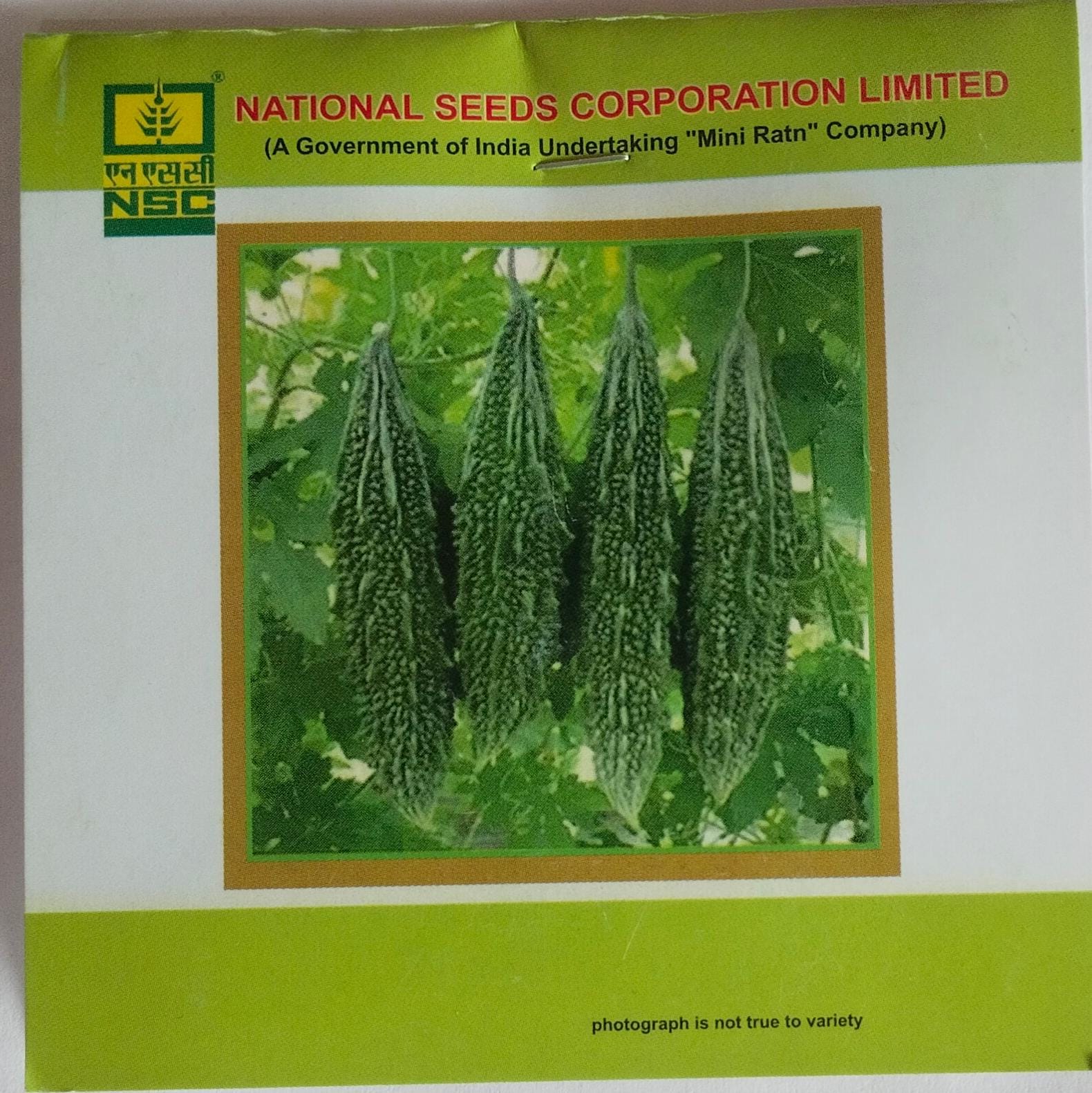 NSC Bittergourd Kashi Pratishtha Variety, 5 gm T/L seed