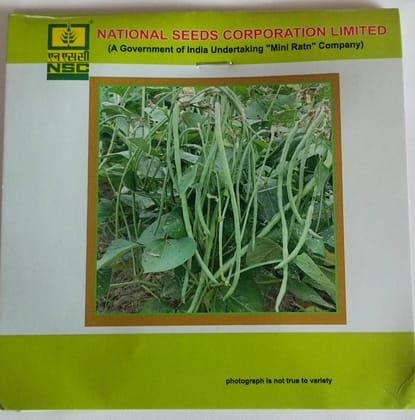 NSC Cowpea Kashi Nidhi Variety, 20 gram T/L Seed