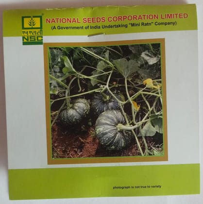 NSC Pumpkin Kashi Harit Variety, 5 gm T/L seed