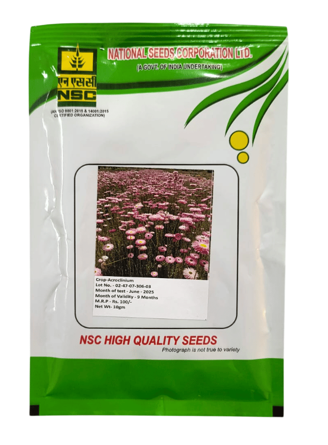 NSC Flower Seeds- Acroclinium (10 gm)