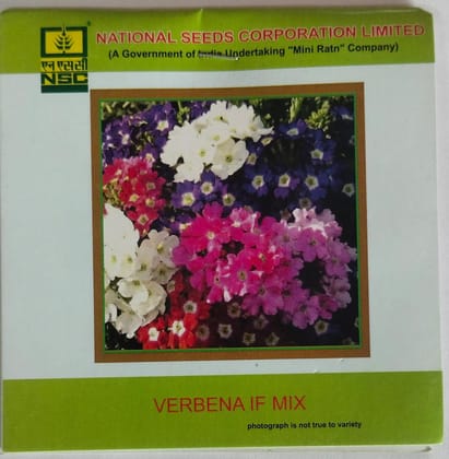 NSC Verbena IF Mix 3gram/TL Seeds