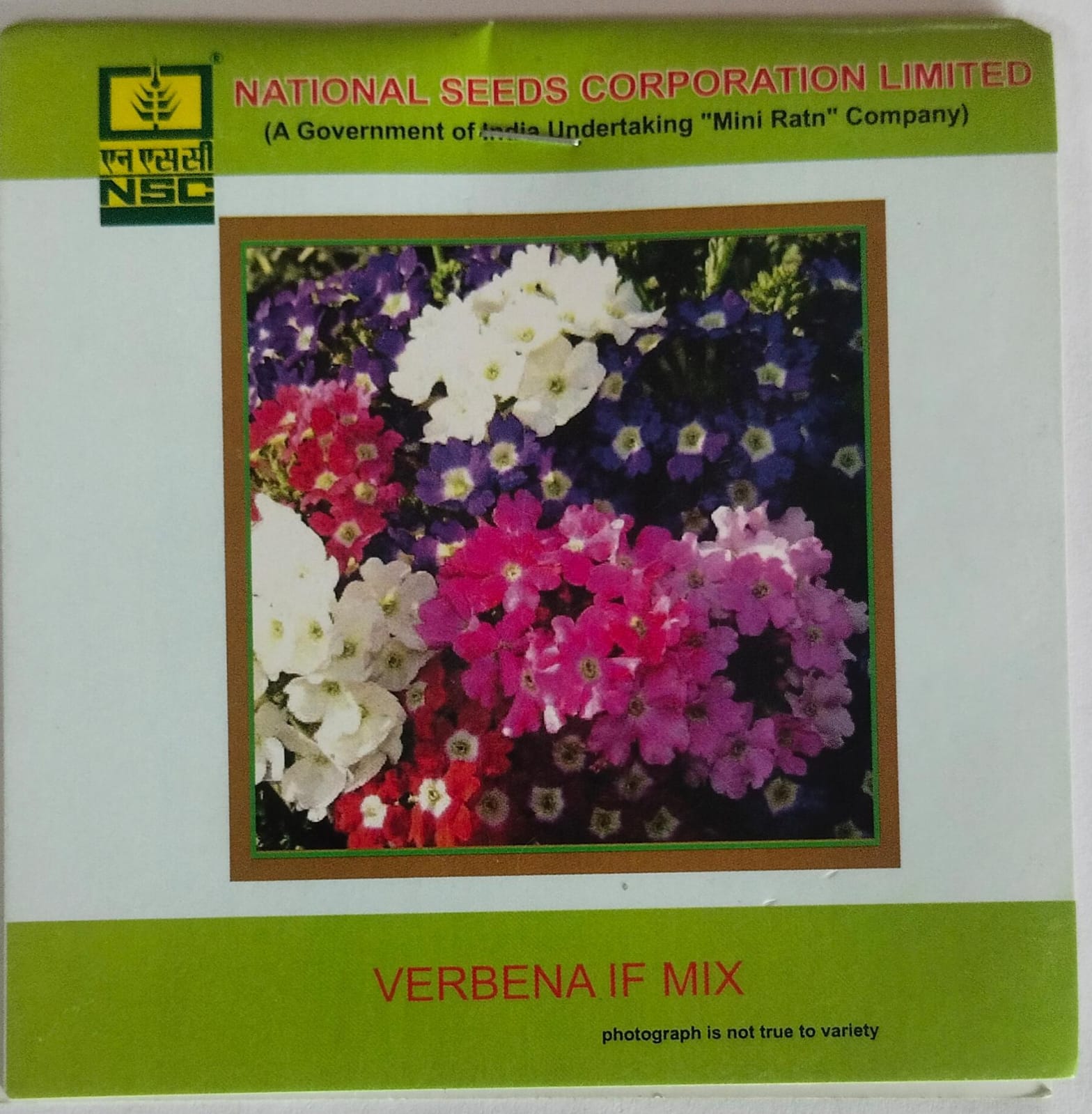 NSC Verbena IF Mix 3gram/TL Seeds