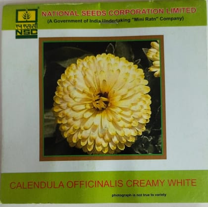 NSC Calendual Officinalis Creamy White Flower Seed