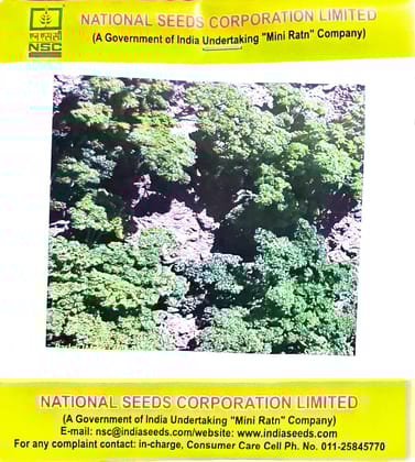 NSC SEEDS- PARSELY- MOSS CURLED- TL