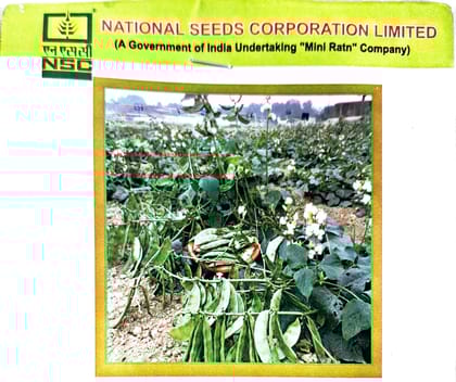 NSC VEGETABLE- SEM -KASHI BAUNI VARIETY 207- TL