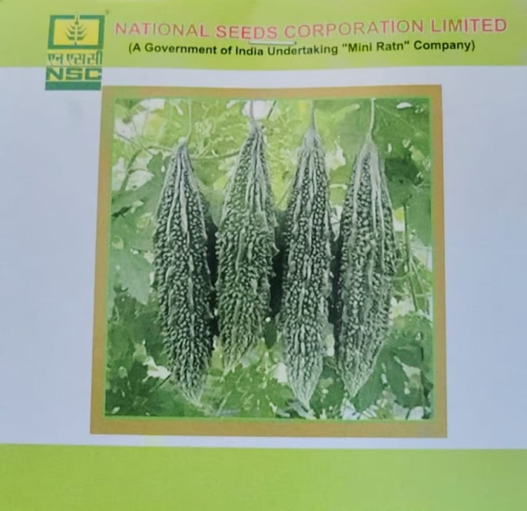 NSC Bitter Gourd Karshi Pratistha