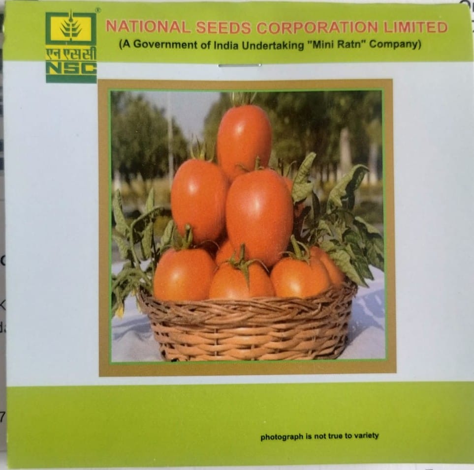 NSC Tomato Kashi Aman 5g Truthful Label Seed