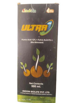 Ultra One