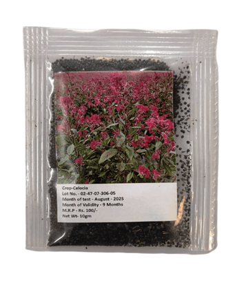 Celosia Flower Seeds – Premium Quality for Vibrant Gardens (10gm Pack)