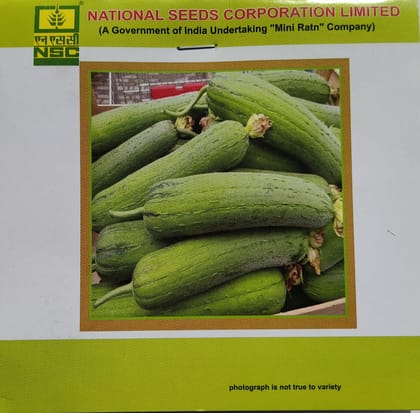 NSC Kashi Shreya Sponge Gourd seeds