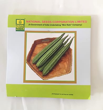 NSC Ridge Gourd Kashi Nanda Variety, 5 gm T/L seed