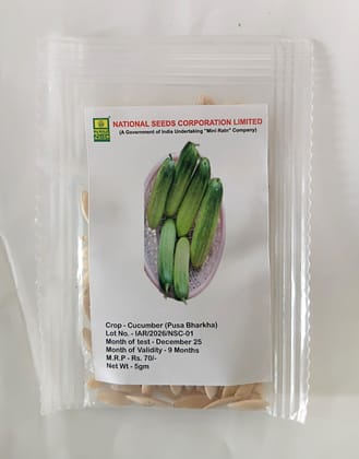 NSC Cucumber Pusa Barkha Variety, 5 gm T/L seed
