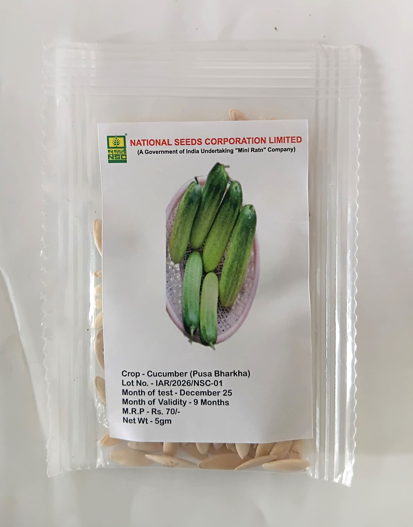 NSC Cucumber Pusa Barkha Variety, 5 gm T/L seed