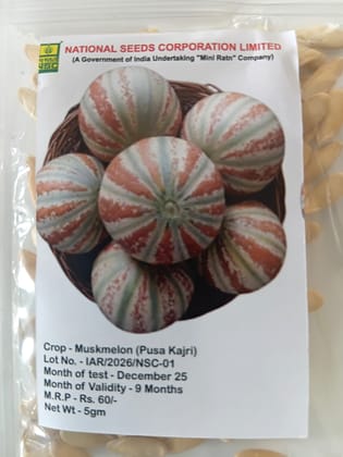 NSC Muskmelon Pusa Kajri Variety, 5 gm T/L seed