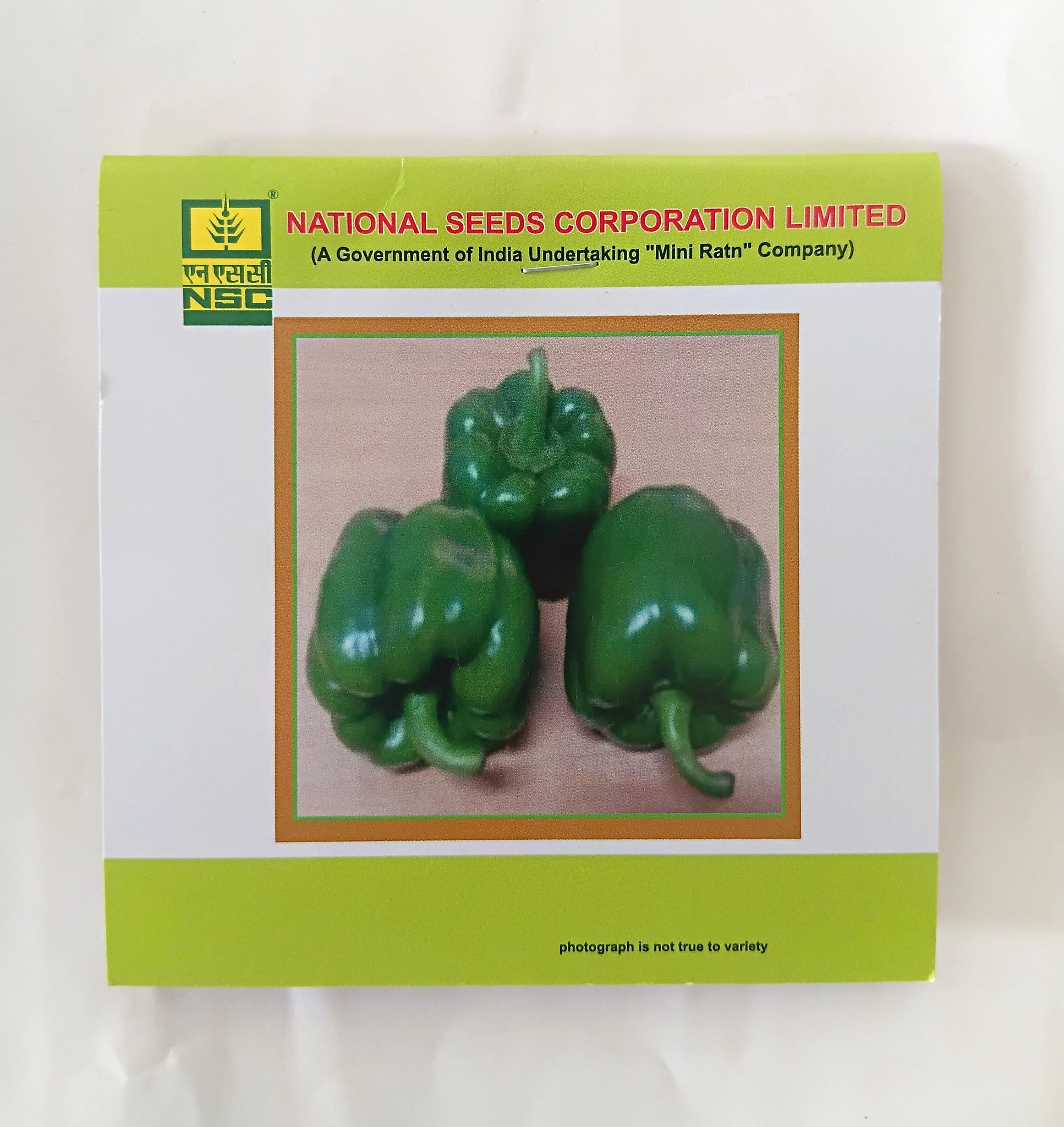 NSC Capsicum California Wonder Variety, 2 gm T/L seed