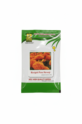Marigold – Pusa Narangi