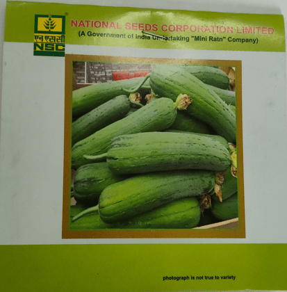 Sponge Gourd – Kashi Shreya